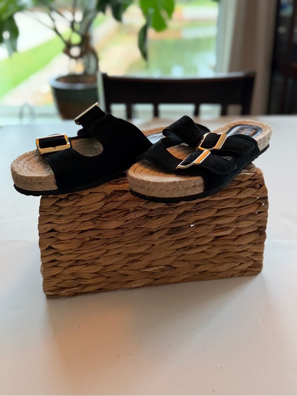 Haute Hippie Black Double-Buckle Kids Slide Sandals with Gold Buckles